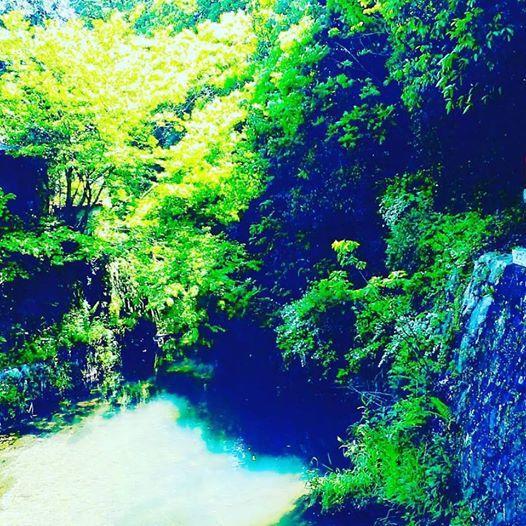 民宿有田